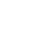 icon2 icon2